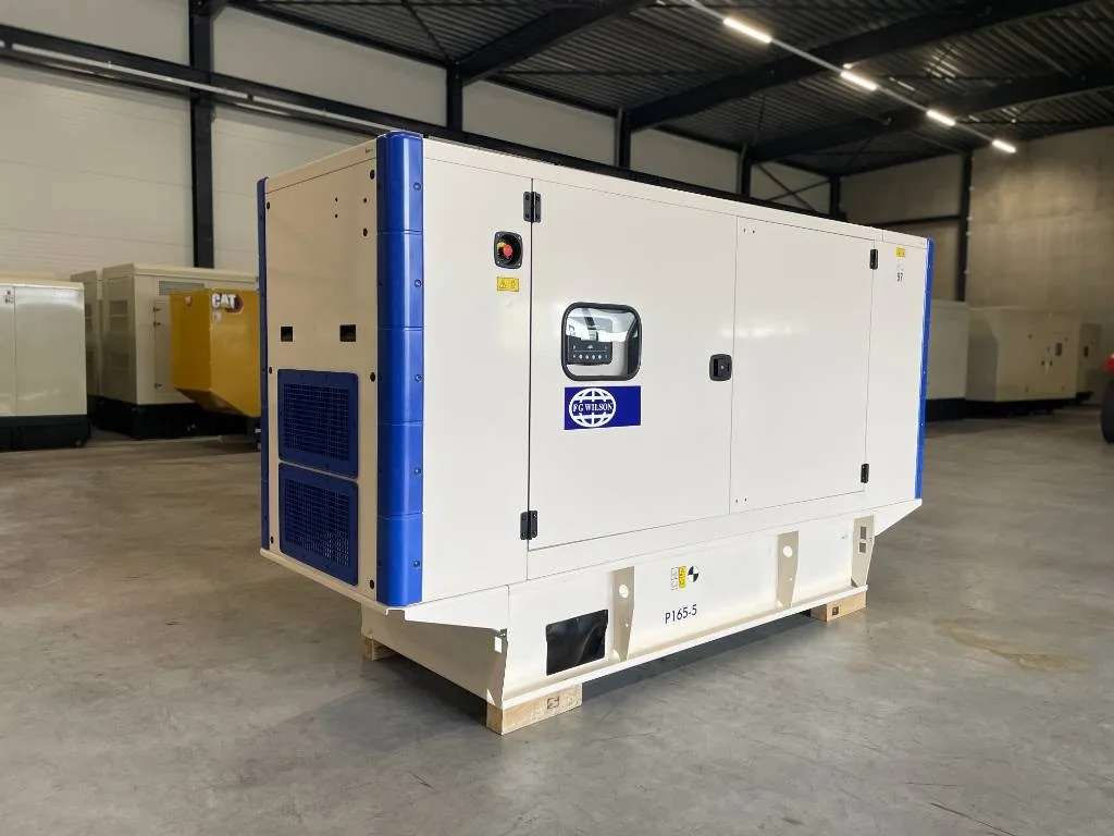 Groupe électrogène diesel FG Wilson 165 kVA triphasé – P165-5 — vue 2